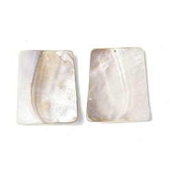 Морская Ракушка Пресноводных оболочки большие кулоны, трапециевидный шарм, цвет морской раковины, 76x64.5x6 мм, отверстие : 2.5 мм