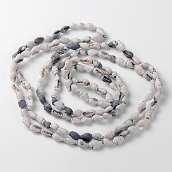 Autres Coquillages De Mer Brins de perles de conque en coquillage naturel teinté, 5.5~8mm, Trou: 2~4mm, Environ 140 pcs/chapelet, 56.7 pouce