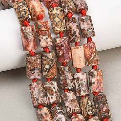 Леопардовая Яшма Натуральный красный леопард, колонка, граненые, 11~18x6~11 мм, отверстие : 1.2~1.6 мм, около 20~25 шт / нитка, 15.16~15.55'' (38.5~39.5 см)