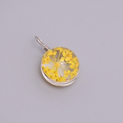 Желтый Прозрачные стеклянные подвески, с засушенным цветком внутри и фурнитурой из нержавеющей стали, плоско-круглые, цвет нержавеющей стали, желтые, 20~23x15x12 мм, отверстие : 1.5 мм