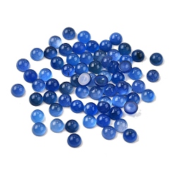 Натуральный Агат Природные кабошон агата, класс А, полукруглый, 6x3~3.5 мм