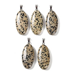 Dalmatian Jasper Natural Dalmatian Jasper Pendants, with 304 Stainless Steel Snap on Bails, Oval Charm, 44x20x8mm, Hole: 7x4mm