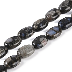 Glaucophane Бусы из натурального глаукофана, Плоско-овальные, 14x9~10x4.5~5 мм, отверстие : 1 мм, около 29 шт / нитка, 15.55 дюйм (39.5 см)