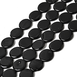 Черный Естественных пресноводных оболочки бисер нитей, окрашеные, плоско-круглые, чёрные, 12.5~13.5x2.5~3 мм, отверстие : 0.5 мм, около 29~31 шт / нитка, 14.45~15.75'' (36.7~40 см)