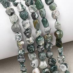 Древесный агат Натурального дерева агат бисер нитей, самородки, 6~8x6~8x6~9 мм, отверстие : 0.8~1 мм, около 54~55 шт / нитка, 15.35'' (39 см) ~ 15.75'' (40 см)