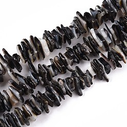 черная губная раковина Натуральный черный оболочки губ бисер нитей, чип, 5~31x5~31x1.5~6 мм, отверстие : 0.6 мм, около 133~144 шт / нитка, 16.14~16.54 дюйм (41~42 см)
