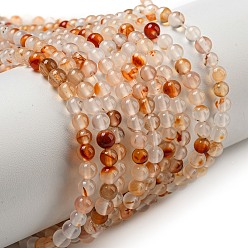 Дендритный Агат Нити натуральных бусин из красного дендритного агата, класс А, круглые, 4 мм, отверстие : 0.8 мм, около 92 шт / нитка, 15.04'' (38.2 см)