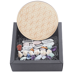 Mixed Stone Chakra Beginners Kit, Meditation Gemstones Healing Stones, with Natural Wood Plate, Spiritual Gifts for Women, 15~19x6.5~9mm