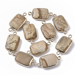 Picture Jasper Edge Golden Plated Natural Picture Jasper Links connectors, with Golden Tone Iron Loops, Rectangle, 26~27x13.5x6~7mm, Hole: 1.6~1.8mm