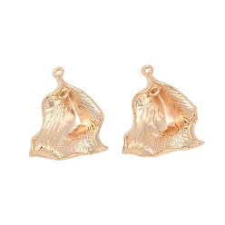 Настоящее золото 18K Латунные подвески, без кадмия, без никеля и без свинца, лист, реальный 18 k позолоченный, 30.5x25x7.5 мм, отверстие : 1.8 мм