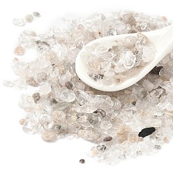Лодолит Кварц Натуральный кварцевый лодолит бусины чип, бусины без отверстий , 1.5~8x3~5x1~2 мм