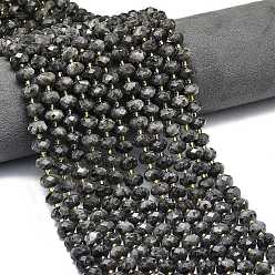 Larvikite Натуральные нити бус из ларвикита, граненые, рондель, с бисером, 8.5~10x5.5~6.5 мм, отверстие : 1 мм, около 43~45 шт / нитка, 15.35'' (39 см)