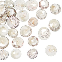 Lemon Chiffon Natural Spiral Shell Beads, Lemon Chiffon, 20~25x5~8mm, Hole: 0.5~1mm, about 30pcs/box