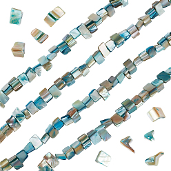 Light Sea Green 4 Strands Dyed Natural Freshwater Shell Beads Strands, Nuggets, Light Sea Green, 7.5~9x9.5~15x5~9mm, Hole: 0.9mm, about 42~50pcs/strand, 14.45''~14.76''(36.7~37.5cm)