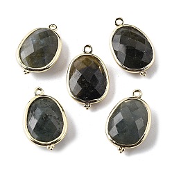 Лабрадорита Натуральный лабрадорит ограненные овальные подвески-коннекторы, с латунной фурнитурой , золотые, стойки покрытие, 22x13.5x6 мм, отверстие : 1.4 мм