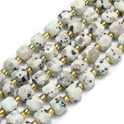 Джаспер Кунжут Природных кунжута яшмы бисер нитей, граненые, кубические, 6.5~7.5x6.5~7.5x6.5~7.5 мм, отверстие : 1.2 мм, около 43~44 шт / нитка, 15.35~15.55 дюйм (39~39.5 см)