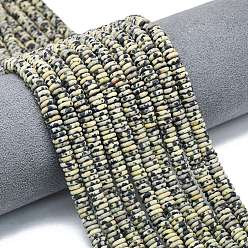 Далматинских Джаспер Нити бусин из натуральной матовой далматинской яшмы, рондель, 6x2 мм, отверстие : 1 мм, около 150~160 шт / нитка, 14.57~14.96'' (37~38 см)