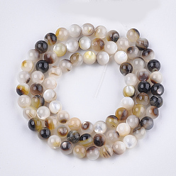 Black Black Lip Shell Beads Strands, Round, Black, 5mm, Hole: 0.8mm, about 77pcs/strand, 14.9 inch