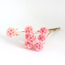 Pink Искусственный цветок, сухоцвет для украшения свадьбы, рождества, домашний декор своими руками, розовые, 200~300 мм, цвет: 25 mm в диаметре