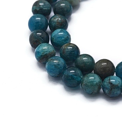 Apatite Natural Apatite Beads Strands, Round, 6mm, Hole: 1mm, about 64pcs/strand, 15.7 inch(40cm)