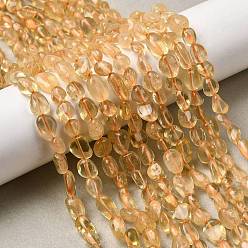 Цитрин Природный цитрин бисер нитей, самородки, упавший камень, окрашенная и подогревом, 6~12x6~8x4~6 мм, отверстие : 0.9 мм, около 52 шт / нитка, 15.94'' (40.5 см) ~ 16.14'' (41 см)