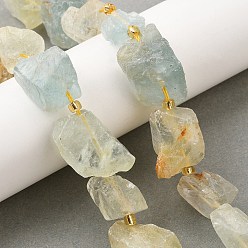 Флюорит Необработанные необработанные бусины из натурального флюорита, самородки, с бисером, 14~28x15~25x10~27 мм, отверстие : 1.2~1.4 мм, около 9~10 шт / нитка, 7.76''~8.07'' (19.7~20.5 см)