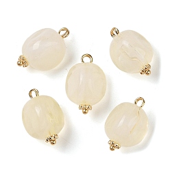 Светлый Золото-желтый Акриловые подвески, имитация драгоценных камней, с медными петлями, самородки, светлый золотарник желтый, 19x12.5x11.5 мм, отверстие : 2 мм