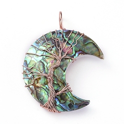 Раковина Подвески из натуральной кожи ушка / пауа, с латунной фурнитурой , долговечный, луна, розовое золото , 47x31.5x10 мм, отверстие : 6.5x4.5 мм