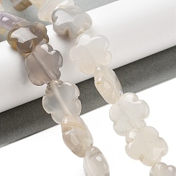 Натуральный Агат Натуральный белый агат бисер нитей, цветок, 16x16x6 мм, отверстие : 1.4 мм, около 25 шт / нитка, 14.57~14.96 дюйм (37~38 см)