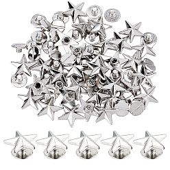 Platine 60 Jeu de rivets convexes en alliage de zinc pour sacs, avec vis en fer, pour sac à main sac à main chaussures punk rock cuir artisanat vêtements ceinture, platine, 12x13x5mm, Trou: 2.5mm