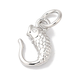 Платина Стойки обшивки латунные подвески, с целью перехода в кольце, долговечный, без свинца и без кадмия, рыбы прелести, платина, 10.5x6.5x2.5 мм, отверстие : 3 мм