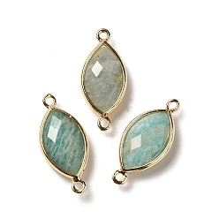 Амазонит Подвески-коннекторы из натурального амазонита с граненой отделкой, покрытие стойки латунные звенья с конским ушком, золотые, 25x11.5x5.5 мм, отверстие : 1.6 мм