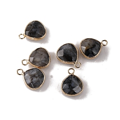 Larvikite Подвески из натурального ларвикита с огранкой, латунные подвески-капли, золотые, 19x14 мм