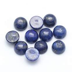 Lapis Lazuli Natural Lapis Lazuli Cabochons, Half Round, Dyed, 6x3~3.5mm