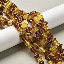 Янтарный Янтарные шарики нити, самородки, упавший камень, 7~10x6~7x4~5 мм, отверстие : 0.6 мм, около 81~82 шт / нитка, 14.76~15.16 дюйм (37.5~38.5 см)