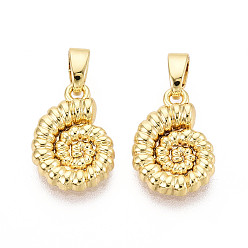 Настоящее золото 18K Латунь прелести, подвески в форме раковины, реальный 18 k позолоченный, 14x10x2.5 мм, отверстие : 4.5x2 мм