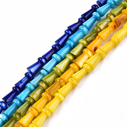 Пресноводная Раковина Естественных пресноводных оболочки бисер нитей, смешанные окрашенные и неокрашенные, гриб, 7.5x4 мм, отверстие : 0.9 мм, около 51 шт / нитка, 15.35 дюйм (39 см)