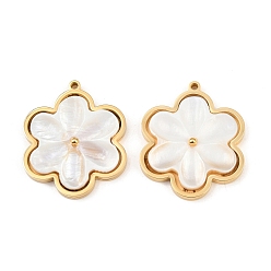 Настоящее золото 18K Натуральный белый оболочки подвески, , с 304 установками из нержавеющей стали, вакуумное покрытие pvd, реальный 18 k позолоченный, 28.5x28x4 мм, отверстие : 1.6 мм