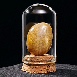 Ископаемый коралл Украшения из необработанных натуральных ископаемых коралловых самородков, Стеклянные и деревянные колокольчики, образцы минералов, статуи для домашнего настольного украшения по фэн-шуй, 55x35 мм