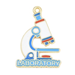 Разноцветный Подвески из эмали и сплава, подвески для фляг, золотые, красочный, 30x21x1 мм, отверстие : 1.6 мм