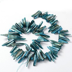 Blue Erose Natural Shell Beads Strands, Dyed, Blue, about 20~40mm long, 4~7mm thick, 4~8mm wide, about 70pcs/strand, hole: about 1mm