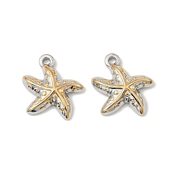 Морская звезда Морские организмы 304 подвески из нержавеющей стали, золотые и нержавеющая сталь цвет, без свинца и без кадмия, морская звезда, 18x17x3.5 мм, отверстие : 1.8 мм