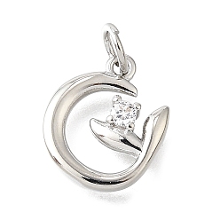 Платина Латунные микро проложить кубического циркония подвески, самородки прелести, долговечный, с целью перехода в кольце, без свинца и без кадмия, стойки покрытие, платина, 14x12x3 мм