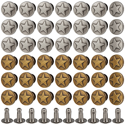 Mixed Color 12 Bags 2 Colors Zinc Alloy Decorative Rivets, Collision Rivet, for DIY Leathercraft, Flat Round with Star, Mixed Color, 9x4mm, Hole: 2.5mm, 6bags/color