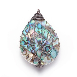 Red Copper Abalone Shell/Paua Shell Wire Wrapped Big Pendants, with Brass Findings, teardrop, with Tree, Red Copper, 48~51.5x30~31.5x8.5~10mm, Hole: 3.5~5.5mm