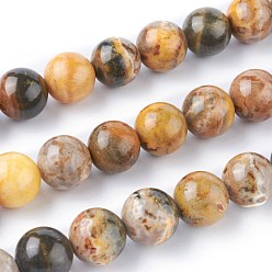 Bumblebee Jasper Hebras de cuentas de jaspe abejorro natural, rondo, 10 mm, agujero: 1.2 mm, sobre 40 unidades / cadena, 15.63 pulgada (39.7 cm)
