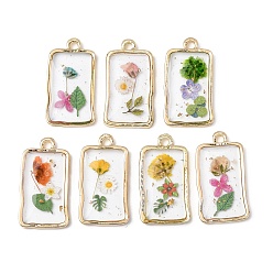 Rectangle Прозрачные смоляные подвески, с засушенными цветами и фурнитурой из сплава золотистого тона, разноцветные, прямоугольные, 26.5x14.5x3 мм, отверстие : 2 мм