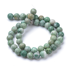 Qinghai Jade Natural Qinghai Jade Beads Strands, Round, 6~6.5mm, Hole: 1mm, about 63pcs/strand, 15.5 inch