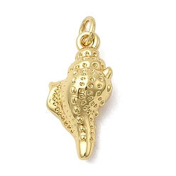 Золотой Латунные подвески, форма раковины, долговечный, стойки покрытие, без свинца и без кадмия, с целью перехода в кольце, золотые, 20x10.5x7 мм