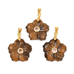 Тигровый глаз Резные подвески из натурального тигрового глаза, подвески-цветы с латунной микропаве из кубических цирконий, золотые, стойки покрытие, долговечный, золотые, 20x20x5 мм, отверстие : 5x4 мм